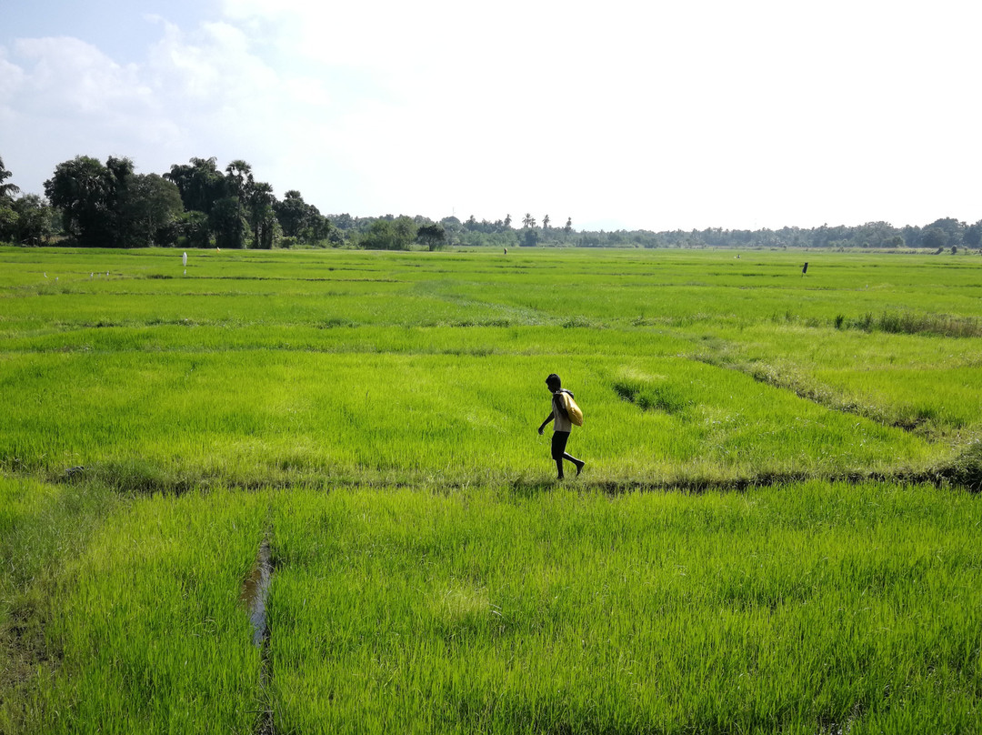 Sunshine Tourist Rest主图