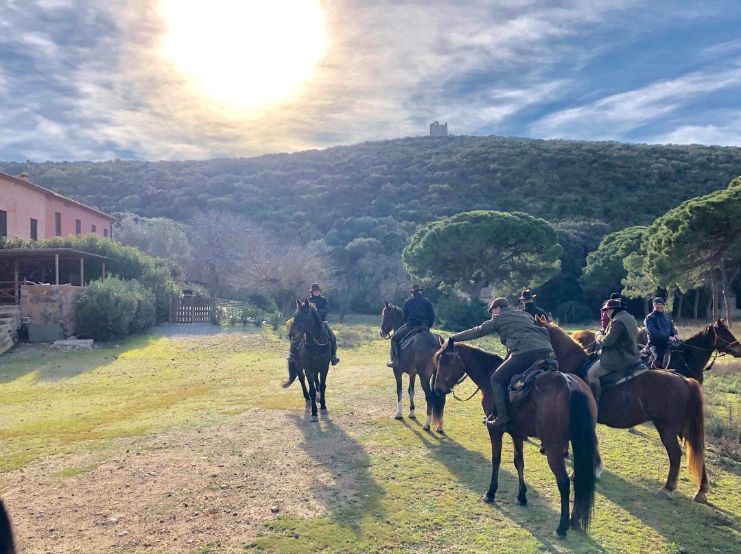 Tuscany Horse Trail景点图片