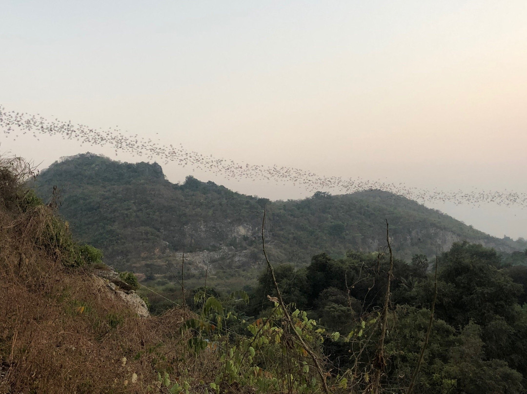 Battambang Bat Caves景点图片