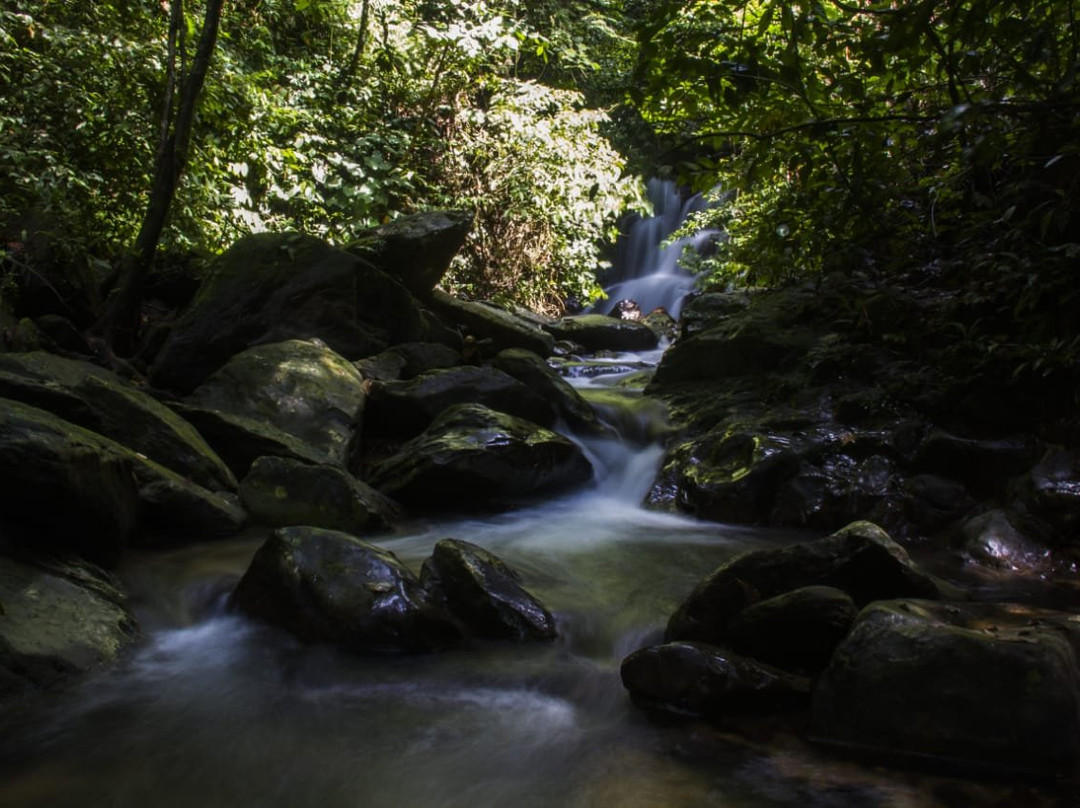 Sumatra Tour & Travel-武吉拉旺必去景点