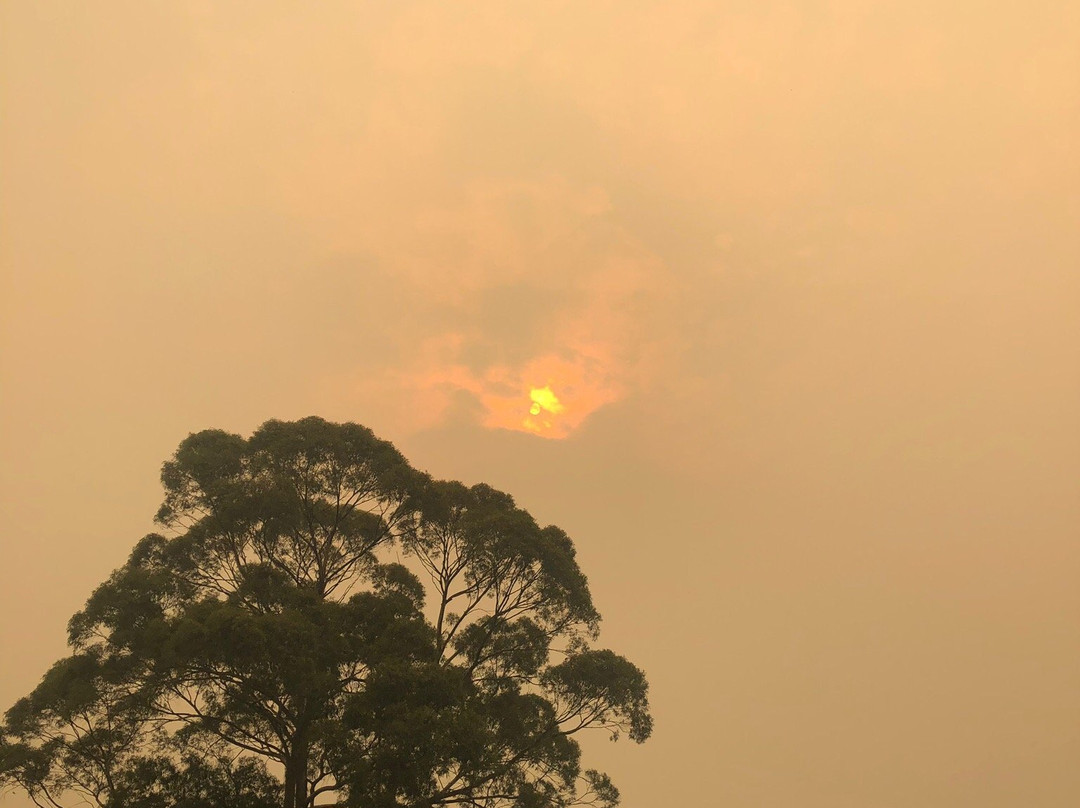 Coningham Nature Recreation Area-Coningham必去景点