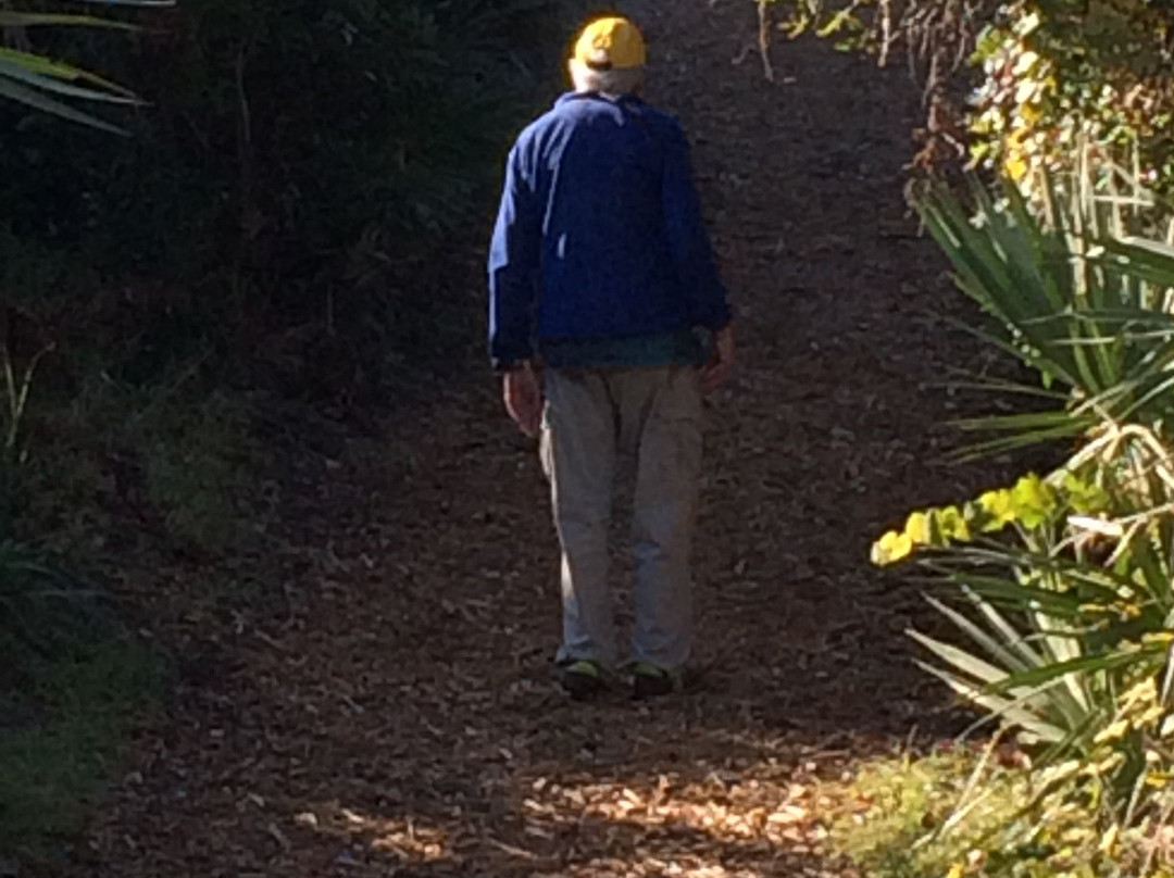 Michael Crotty Bicentennial Park-奥蒙德海滩必去景点