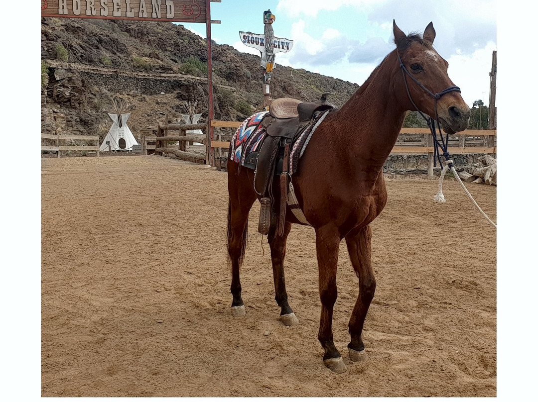 Horseland-San Bartolome de Tirajana必去景点