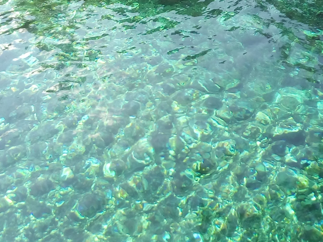 Cenote Santa Cruz景点图片