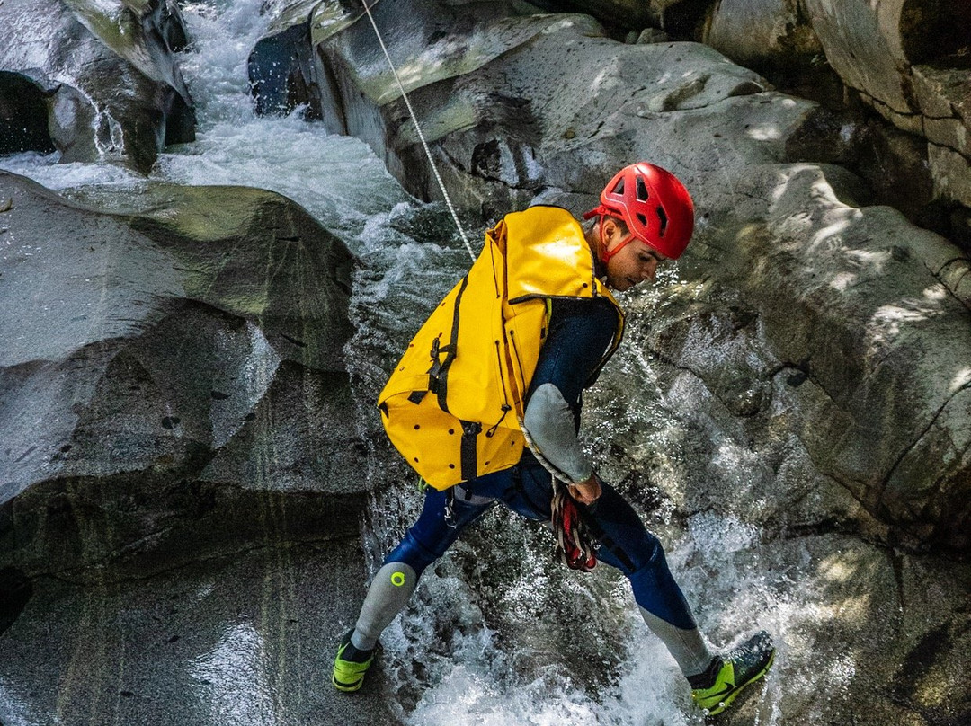 Eco Guias Colombia-San Carlos必去景点