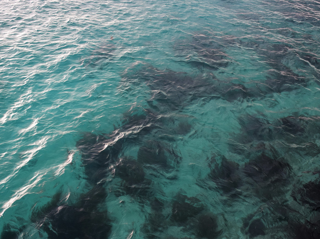 Fondo de Cristal III-La Parguera必去景点