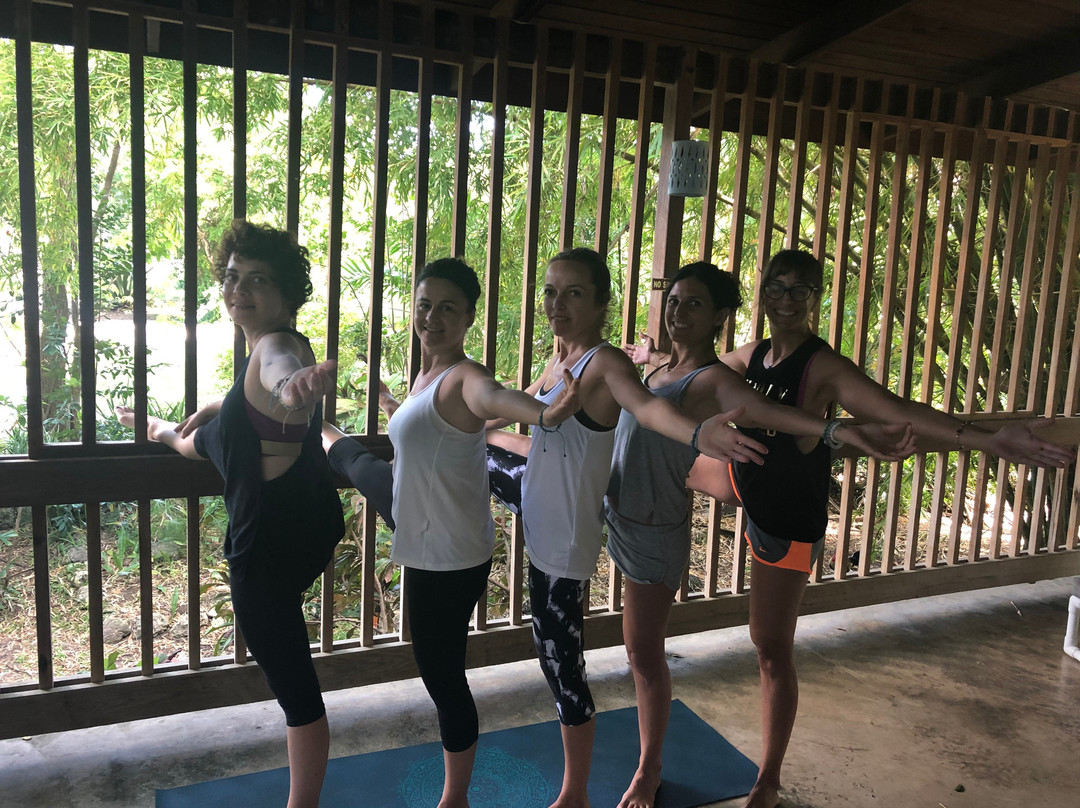 Dover Woods Guesthouse主图