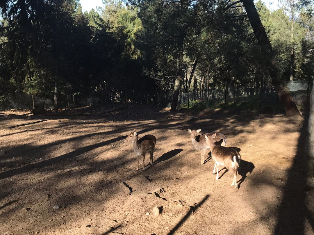 Parque Ecologico de Gouveia景点图片