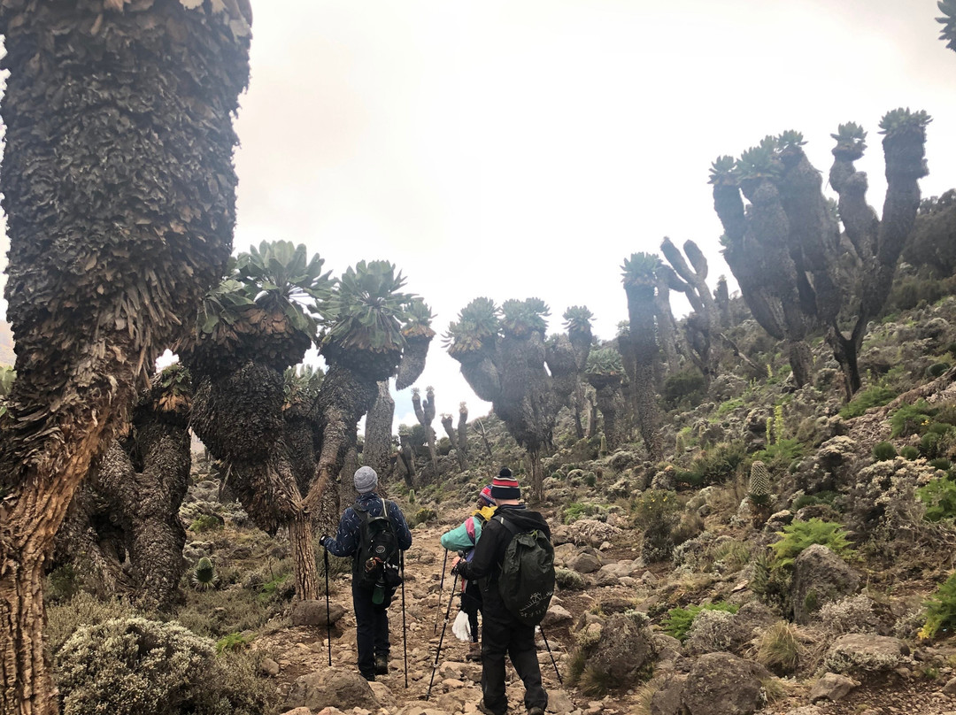 Ringo Expeditions-莫西必去景点