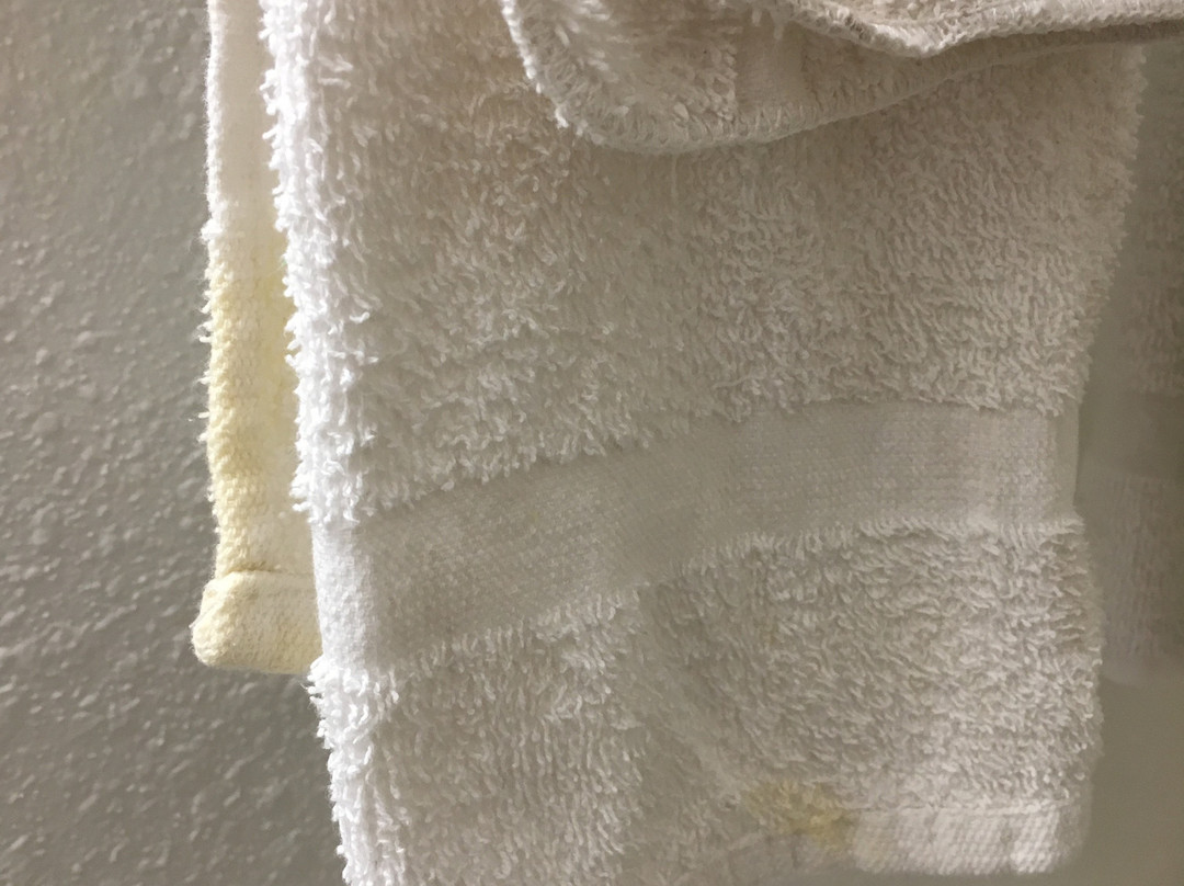 Baymont Inn & Suites Hutchinson ( Near Cosmosphere)主图