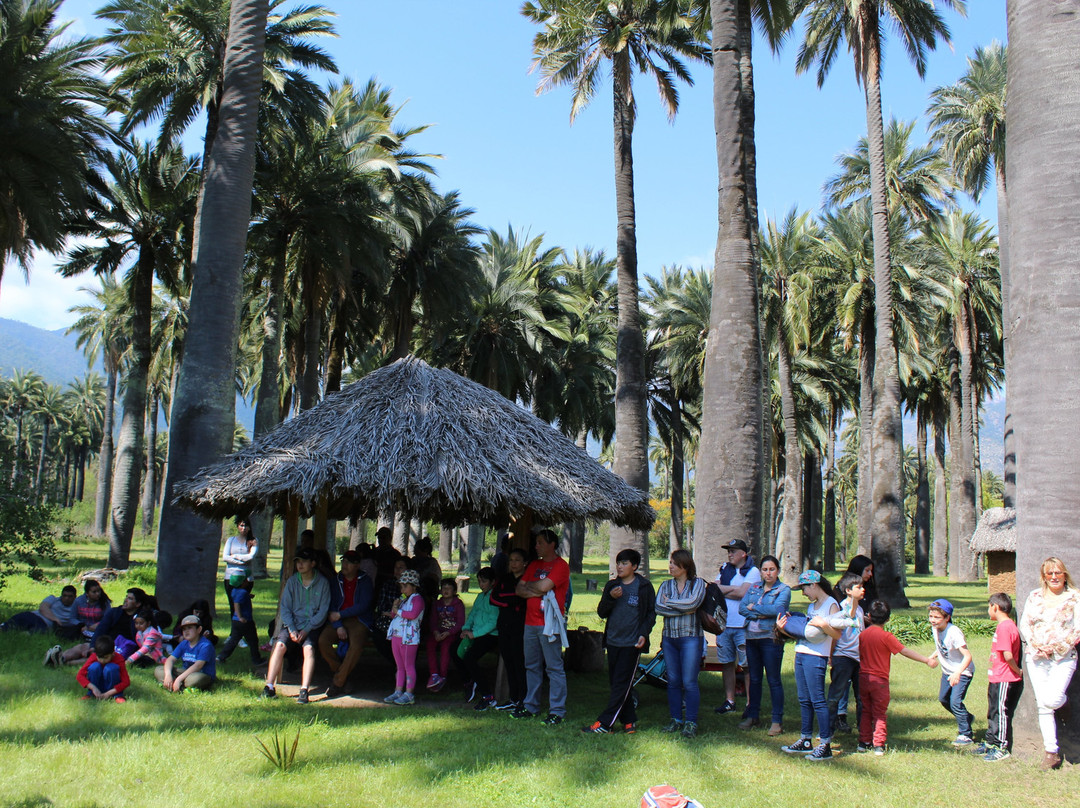 Pitrucao Outdoor-Las Cabras必去景点