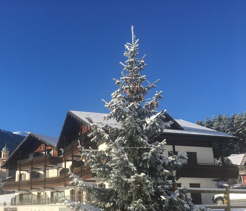 Residence Fior d'Alpe主图