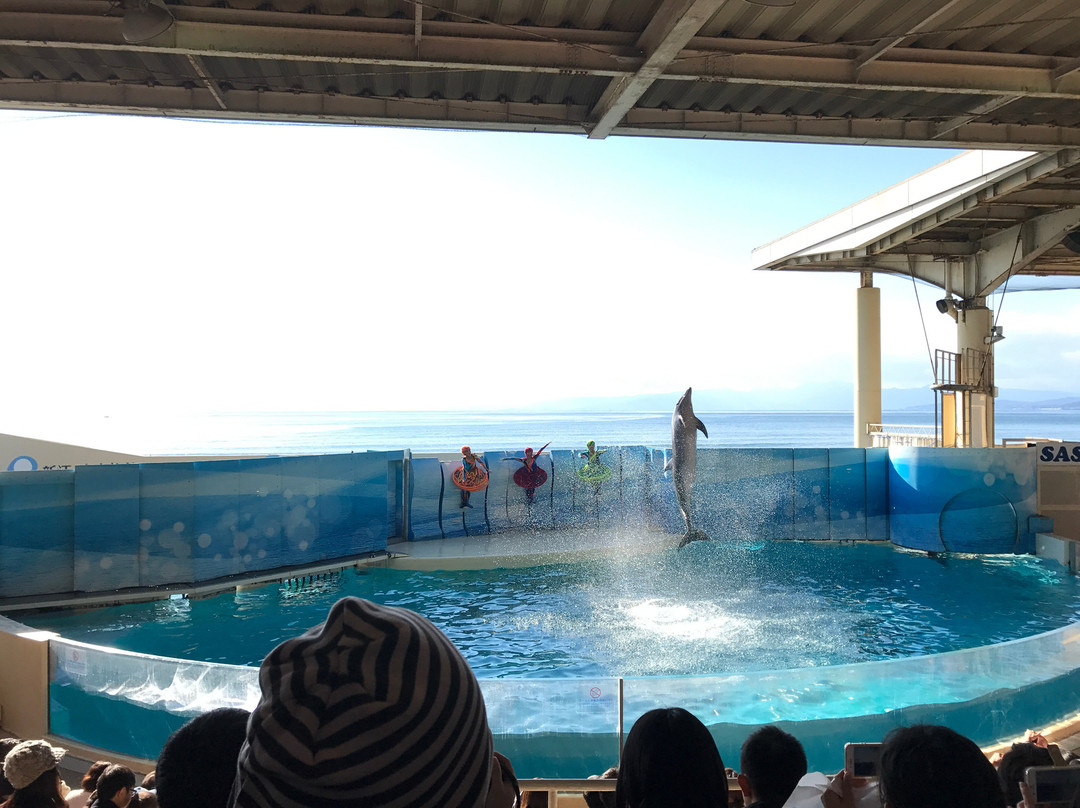 Enoshima Aquarium景点图片