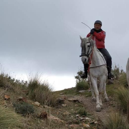 Riding Andalucia景点图片