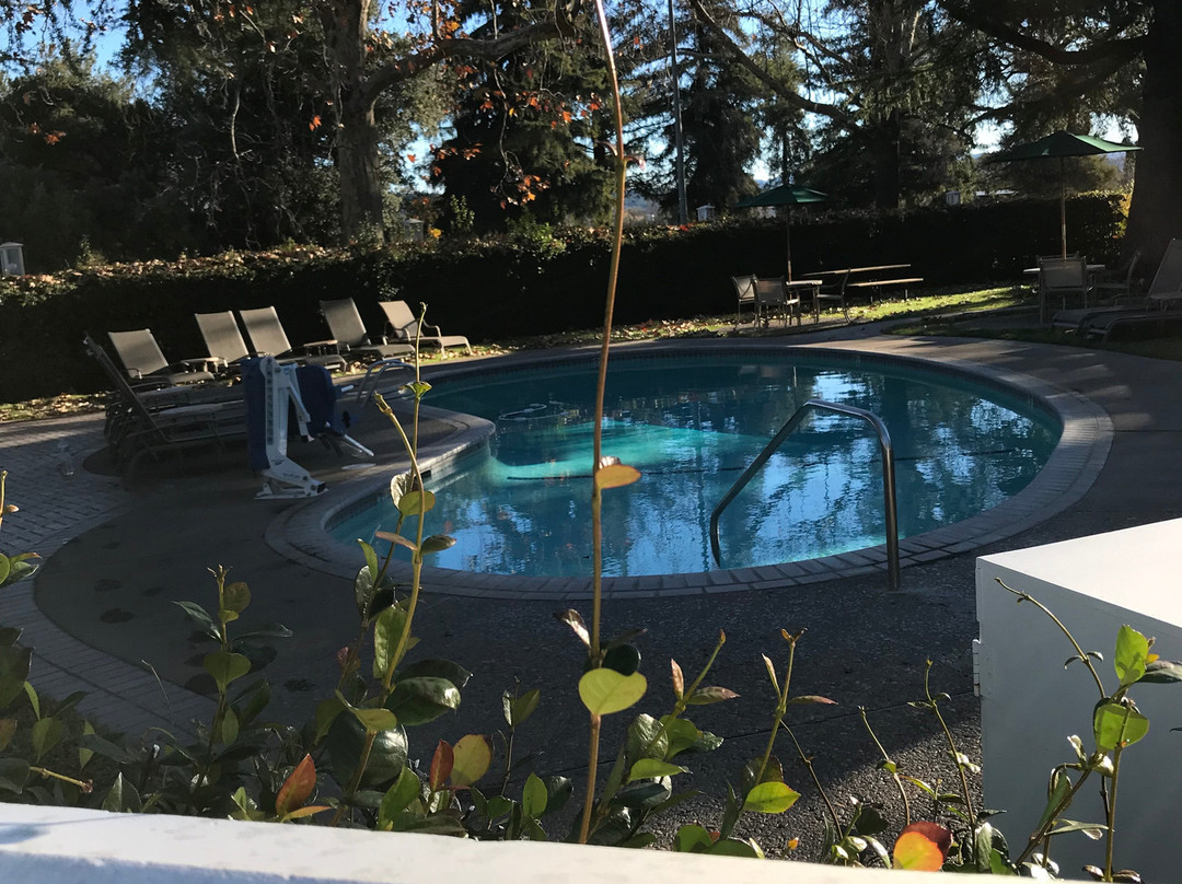 El Bonita Motel主图