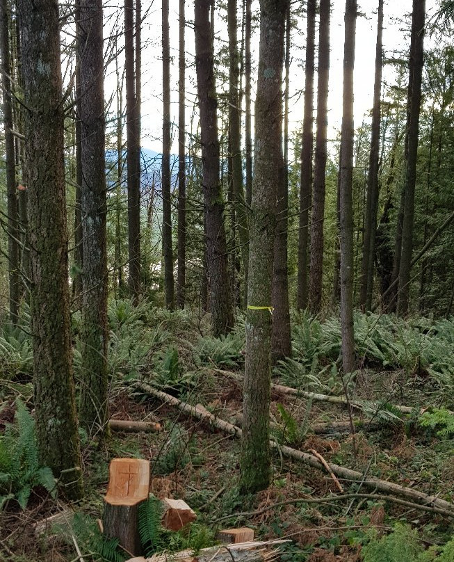 Westminster Abbey-米逊必去景点