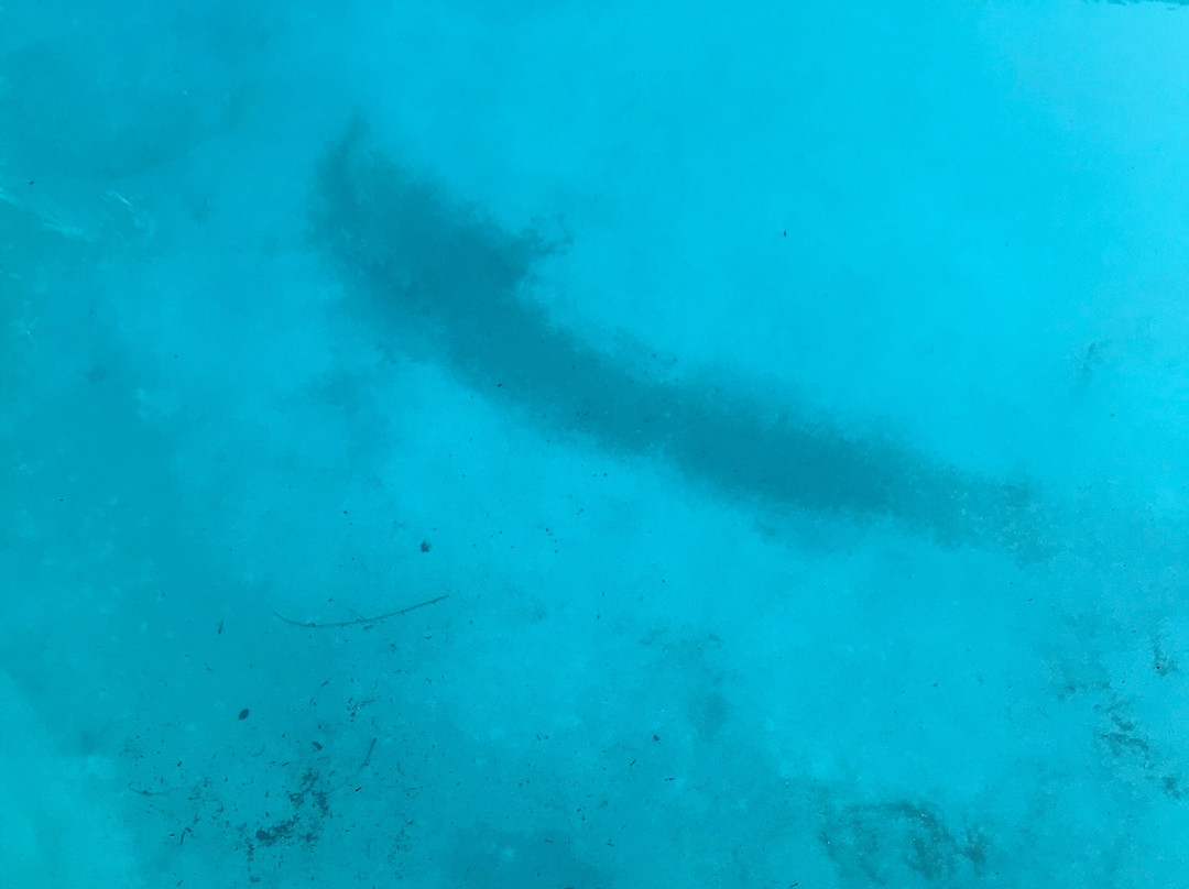 Fairfield by Marriott Inn & Suites Palm Beach主图