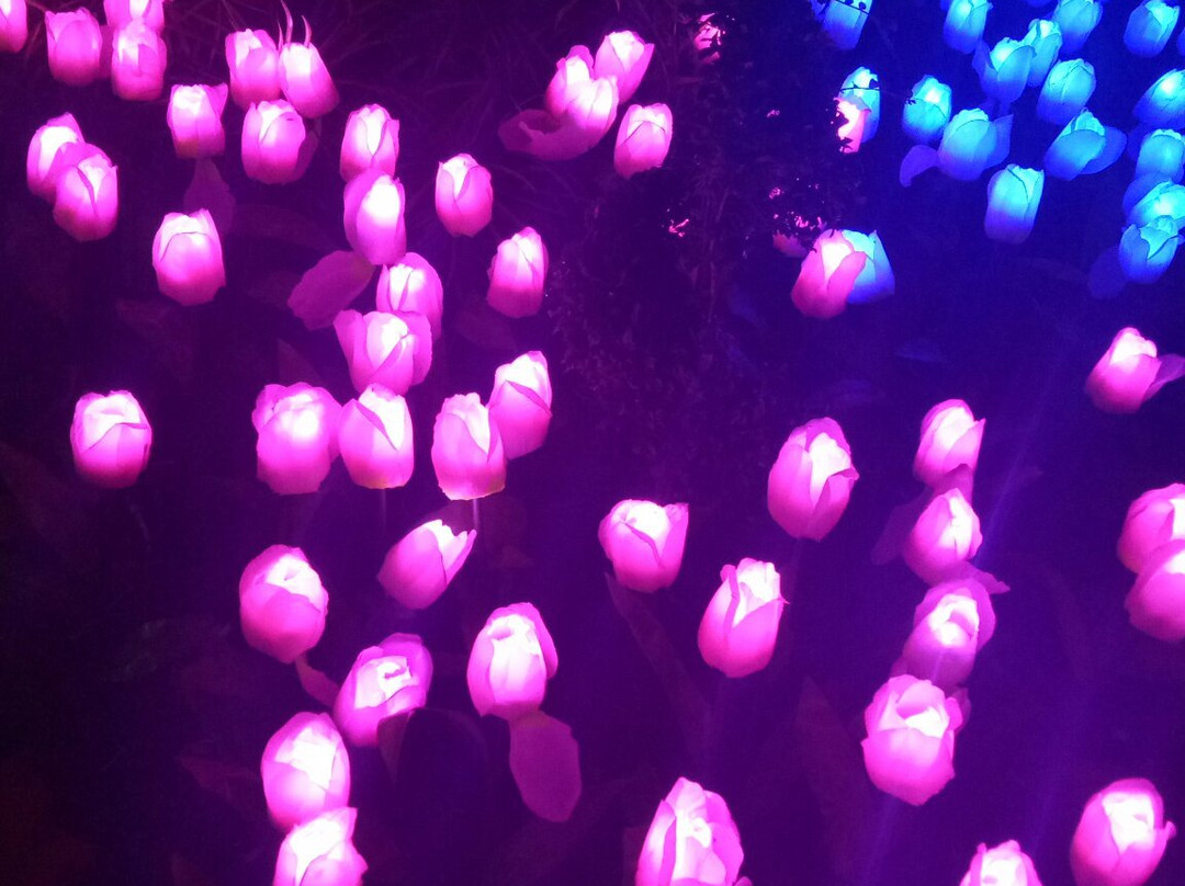 Virac Town Center-Virac必去景点