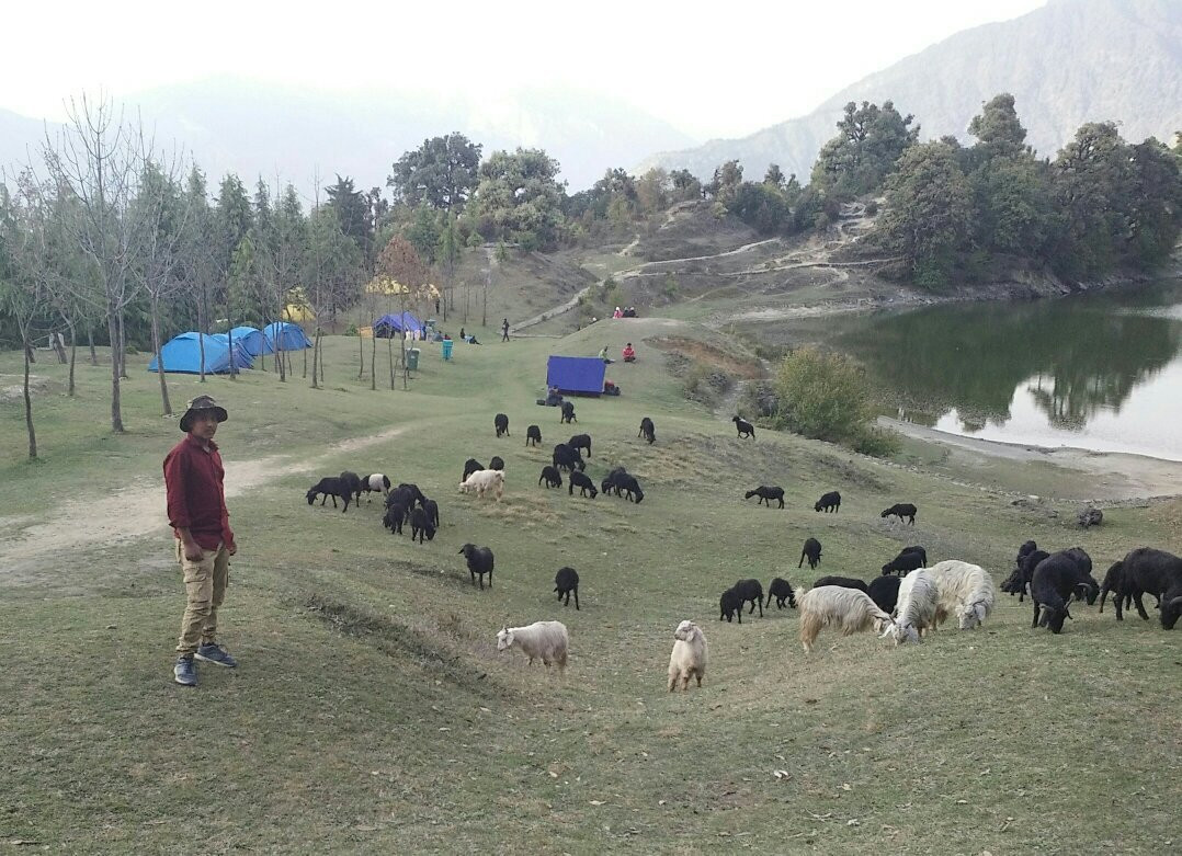 Welcome Himalayas Trek景点图片