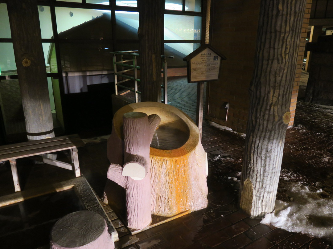 Longevity Hand & Foot Bath-洞爷湖町必去景点