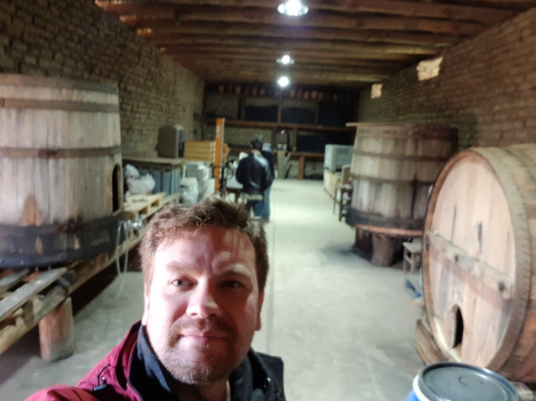 Vina Gonzalez Bastias-San Javier必去景点