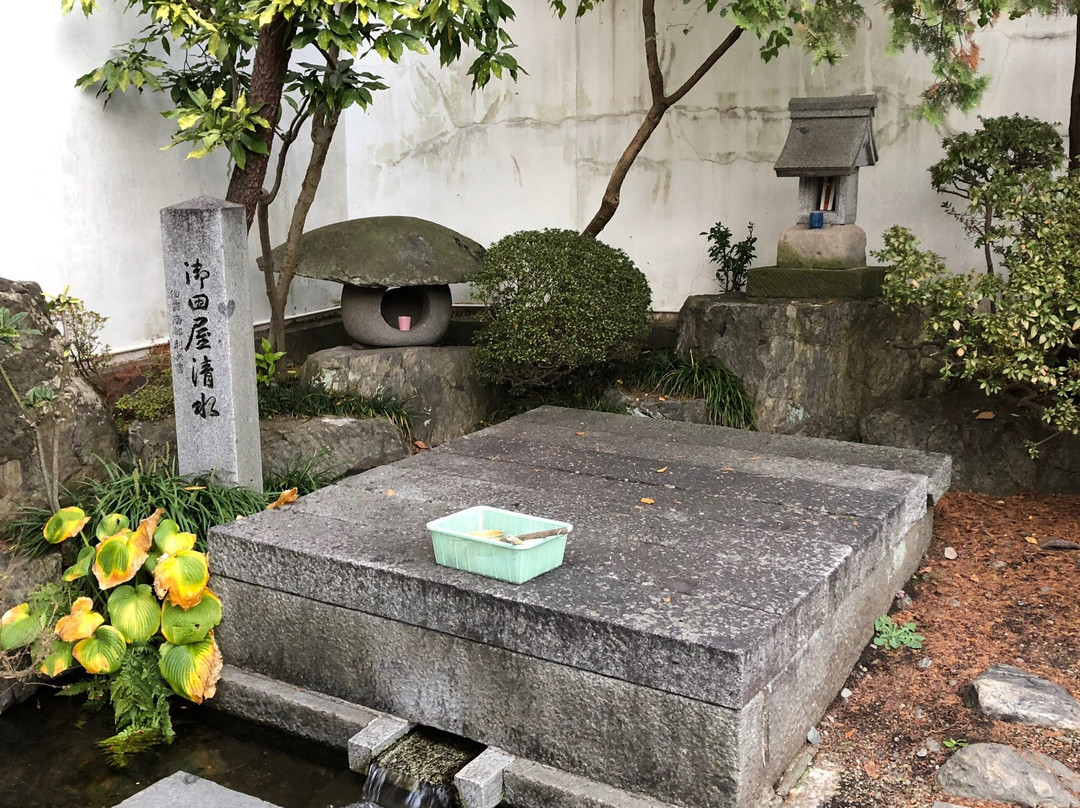 Otaya Shimizu Cold Spring