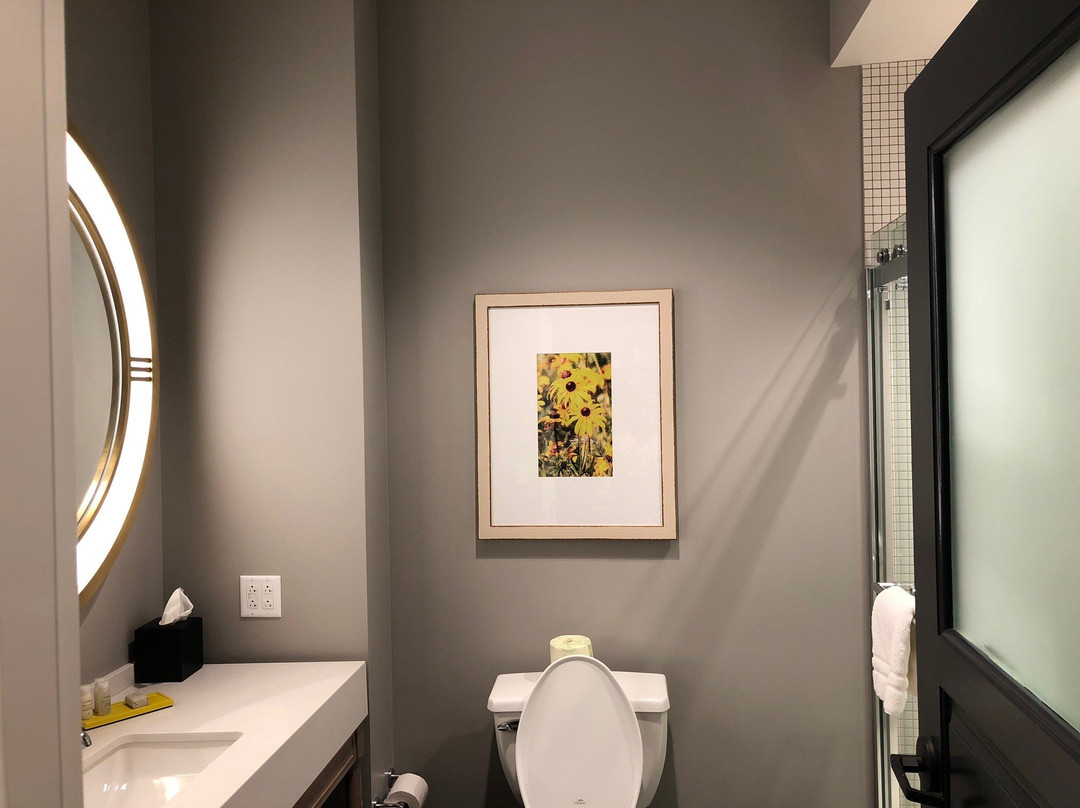 Hotel Indigo Hattiesburg By IHG主图