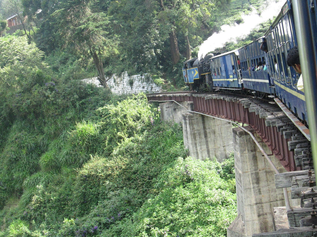 Nilgiri Mountain Railway景点图片