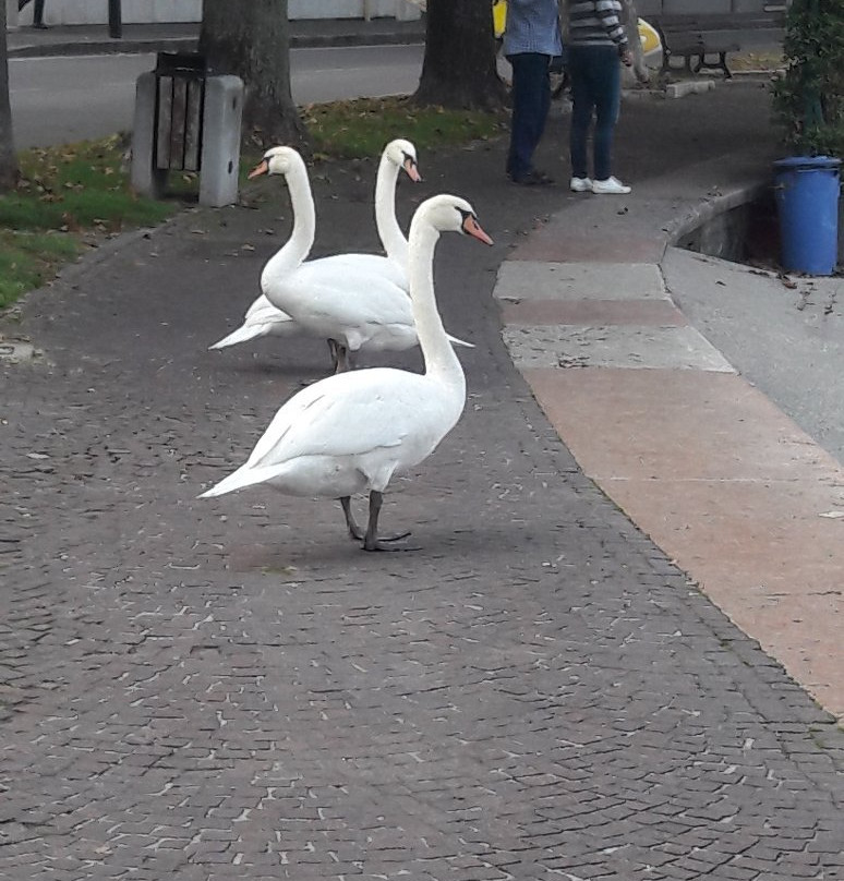 Spiaggia d'oro-代森扎诺-德尔加达必去景点