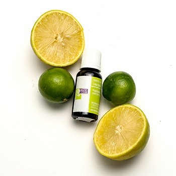 Tiendas Madre Tierra-圣米格尔护城必去景点