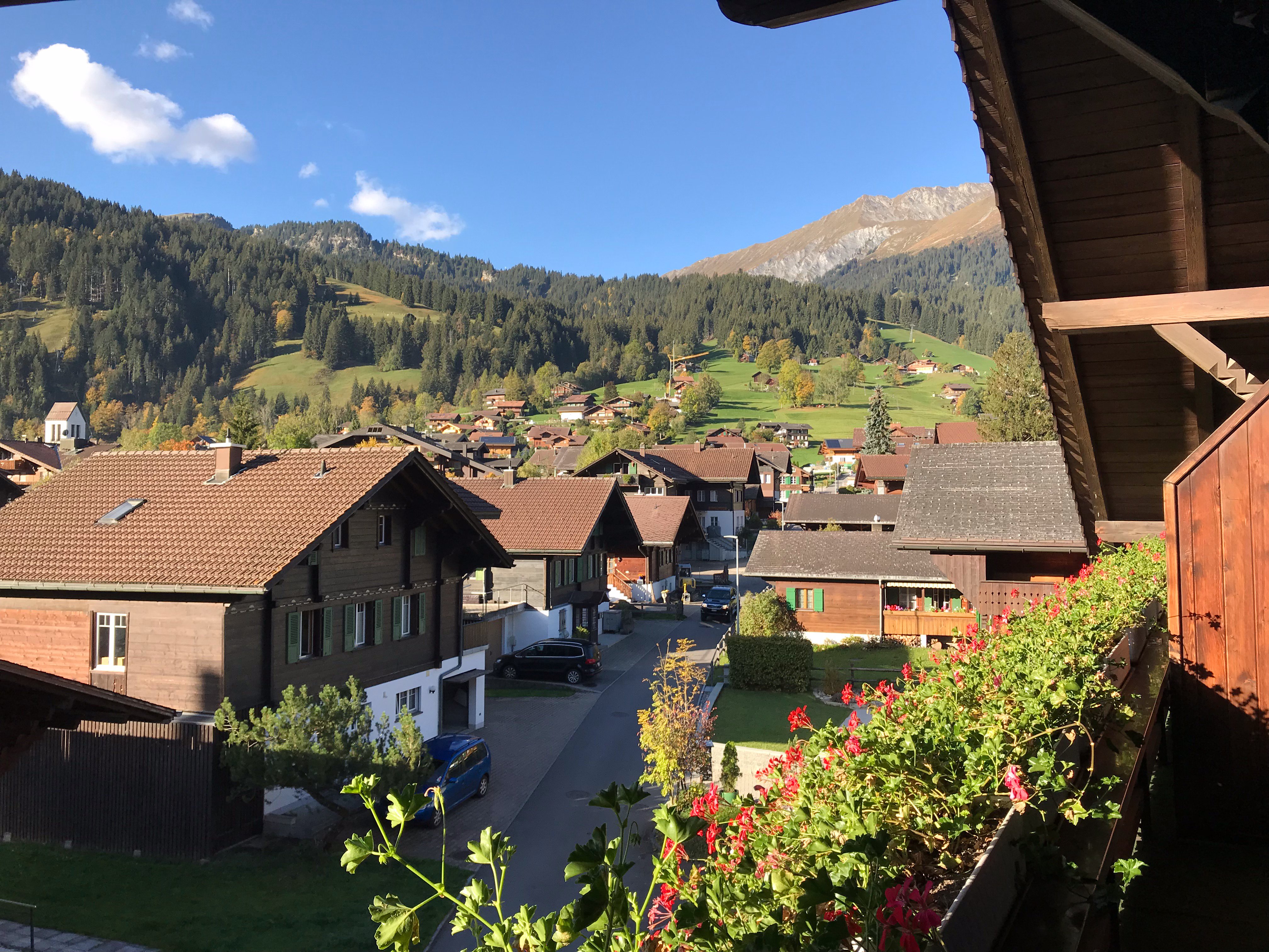 Hotel Garni Alpenruh-酒店景观