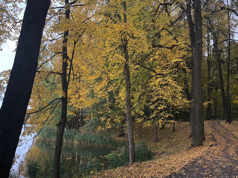 Voronovo-LMS必去景点