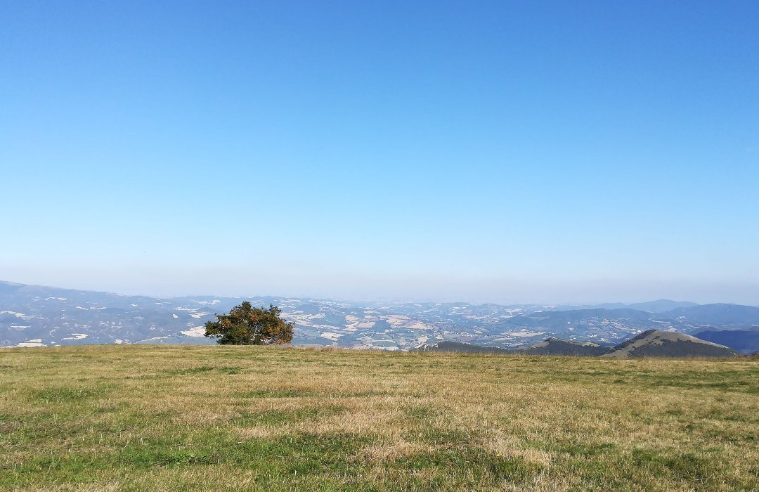 Cagli旅游景点-Monte Petrano