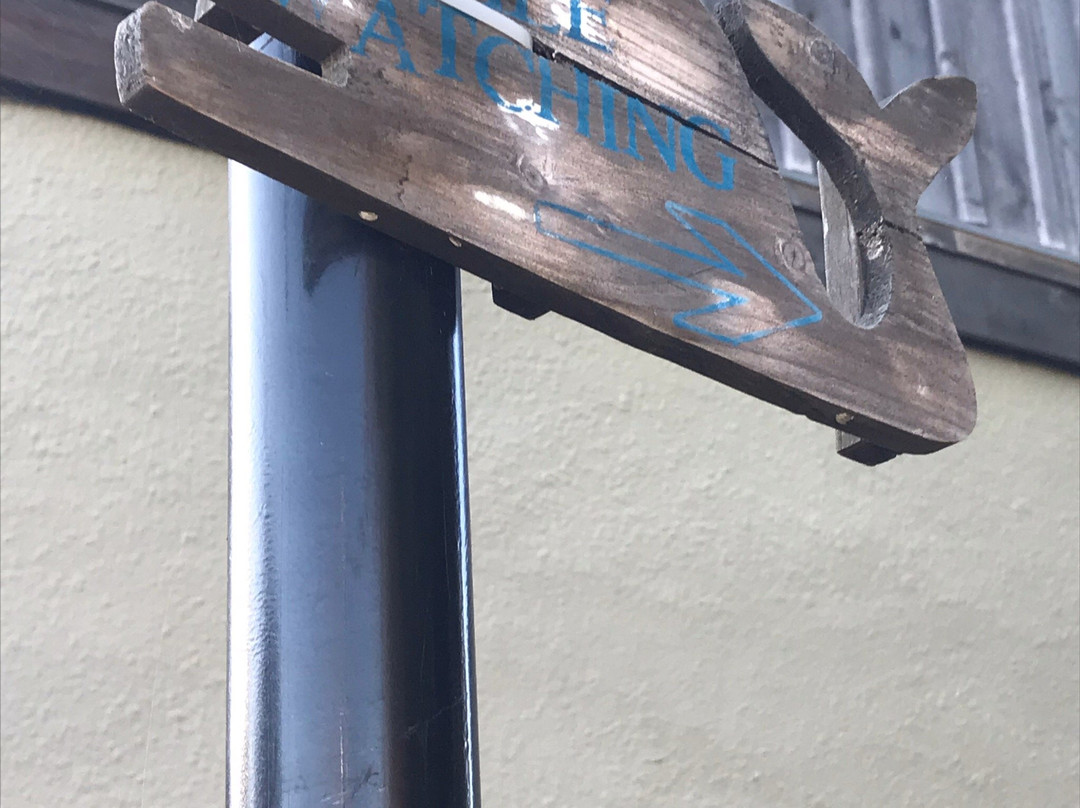 Langley Whale Center-Langley必去景点