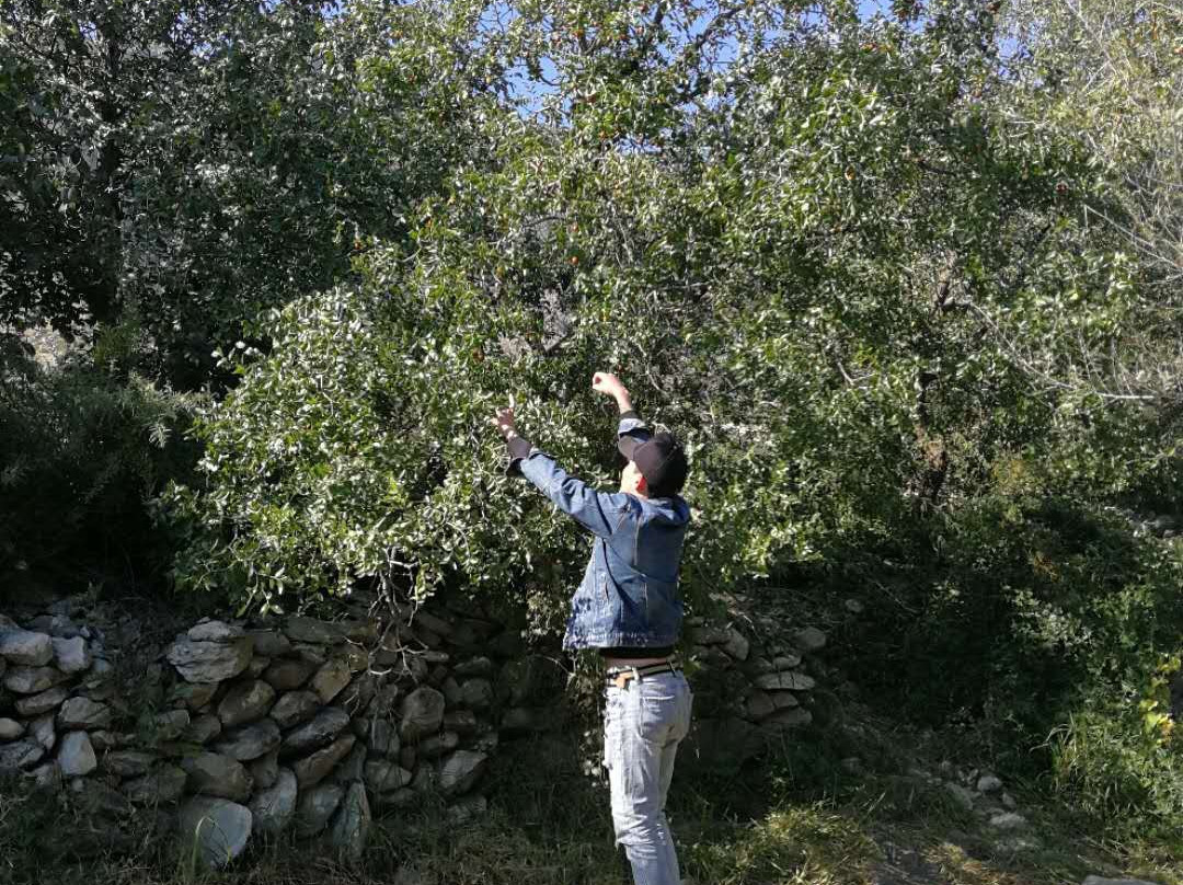 贺兰山风景区-贺兰县必去景点