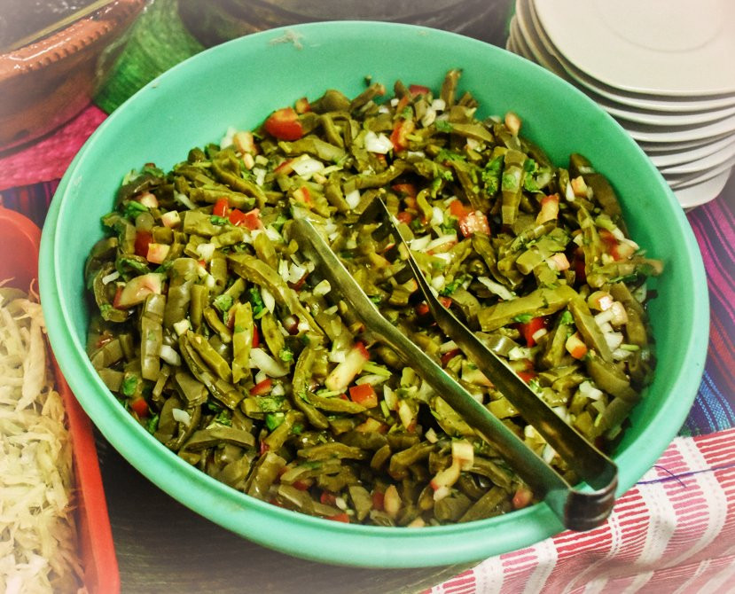 Travelling Herbivore-墨西哥城必去景点