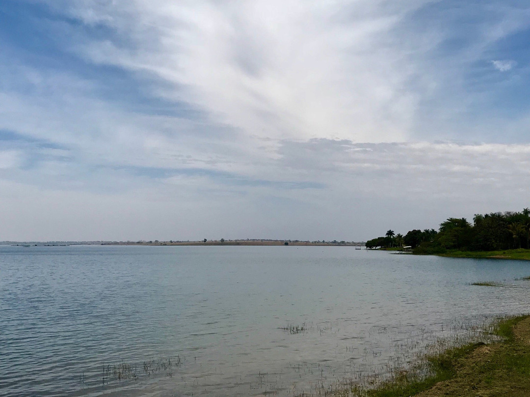Parque Aguas Claras景点图片