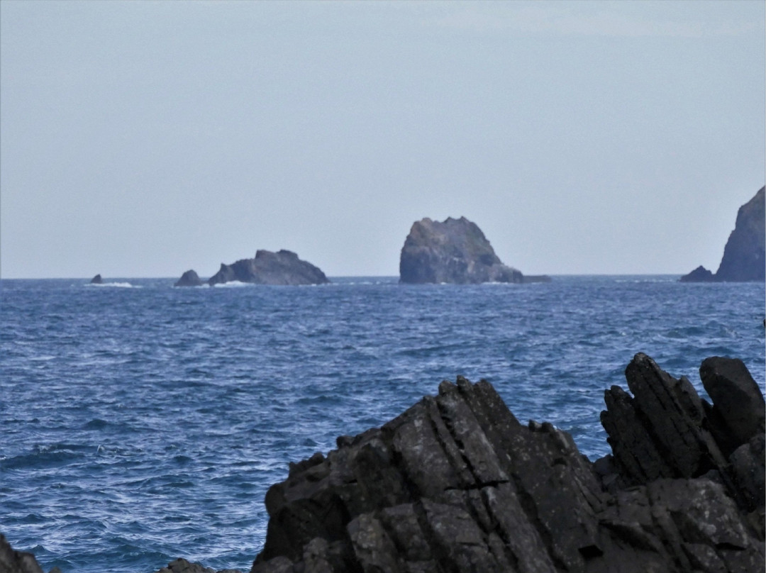Cape Kamiwarizaki-南三陆町必去景点