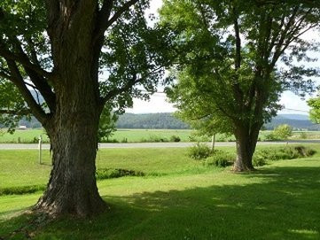 Lost River Grill, Motel and Bed & Breakfast主图