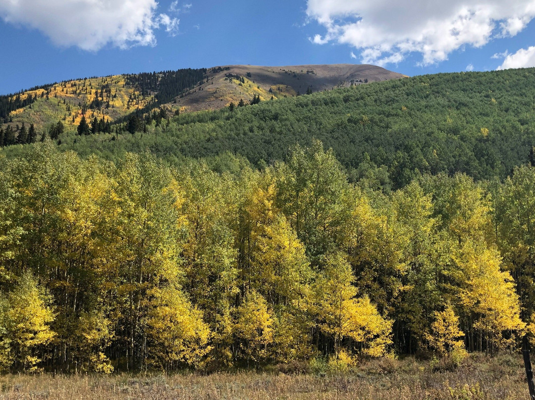 Four Mountain Sports-斯诺马斯村必去景点