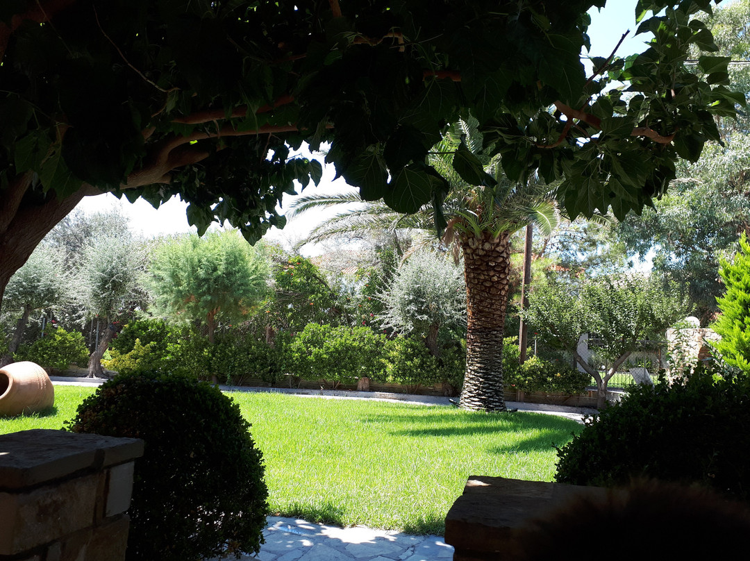 Platy Beach Hotel主图