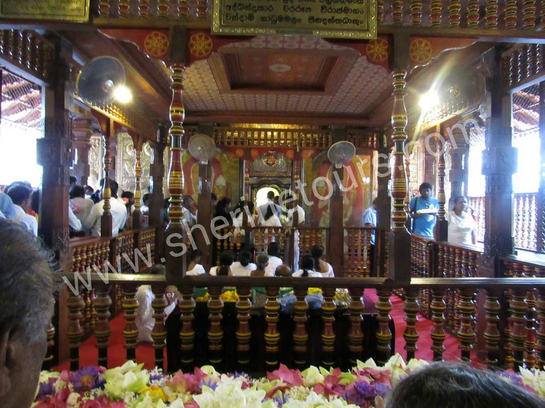 Sherine Tours-Waikkal必去景点