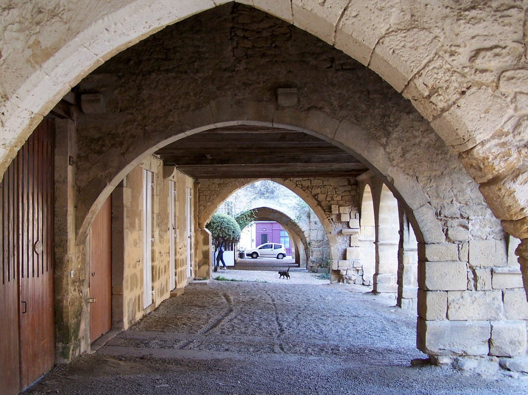 Castillon-De-Castets旅游攻略图片