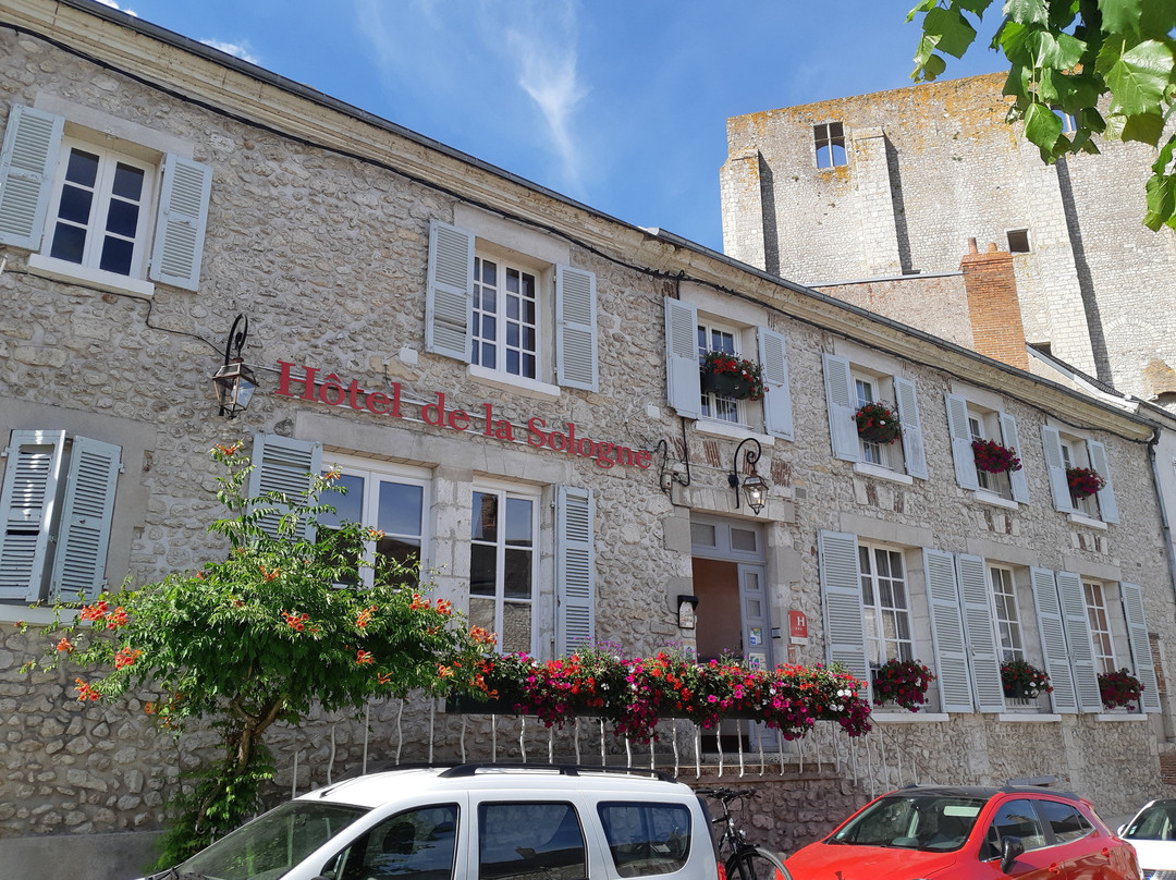 Hotel De La Sologne主图