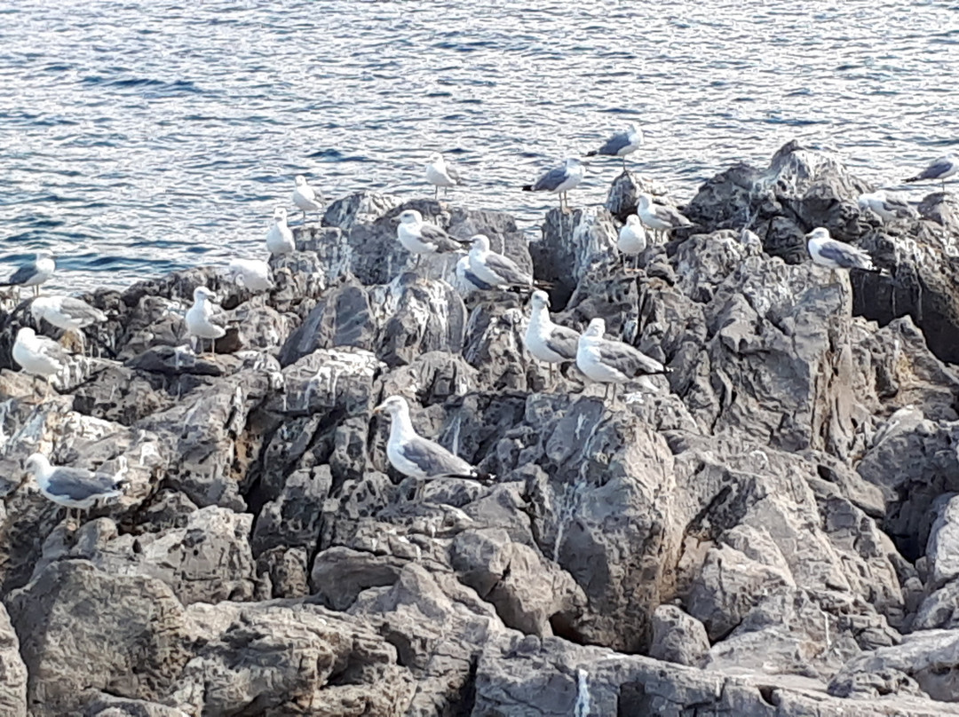 拉托雷锦绣酒店主图