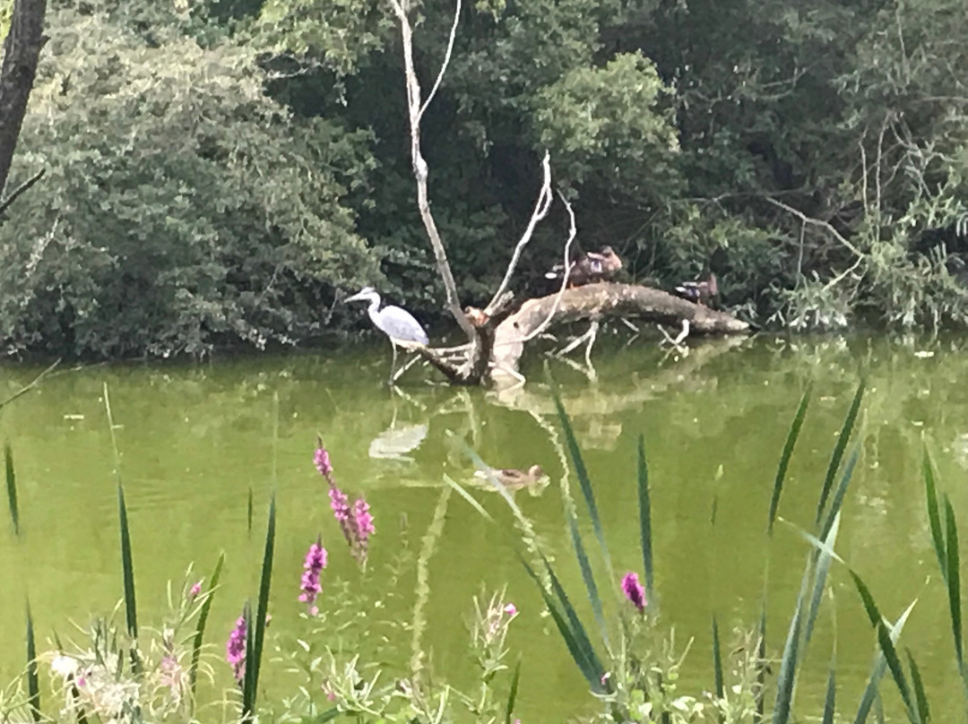 Market Bosworth Country Park景点图片