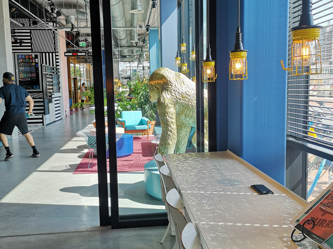 The Social Hub Groningen主图