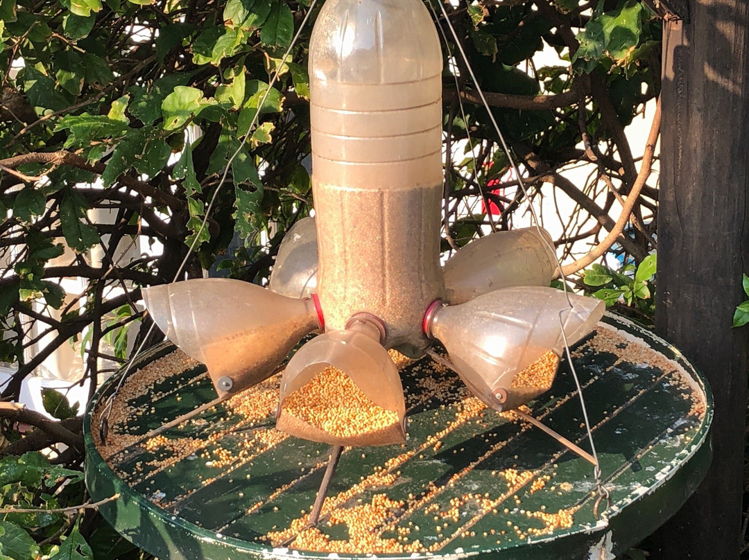 Acorn B&b In Durban主图