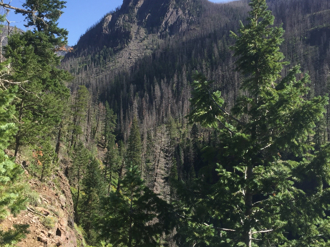 Rainbow Hot Springs-帕戈萨斯普林斯必去景点