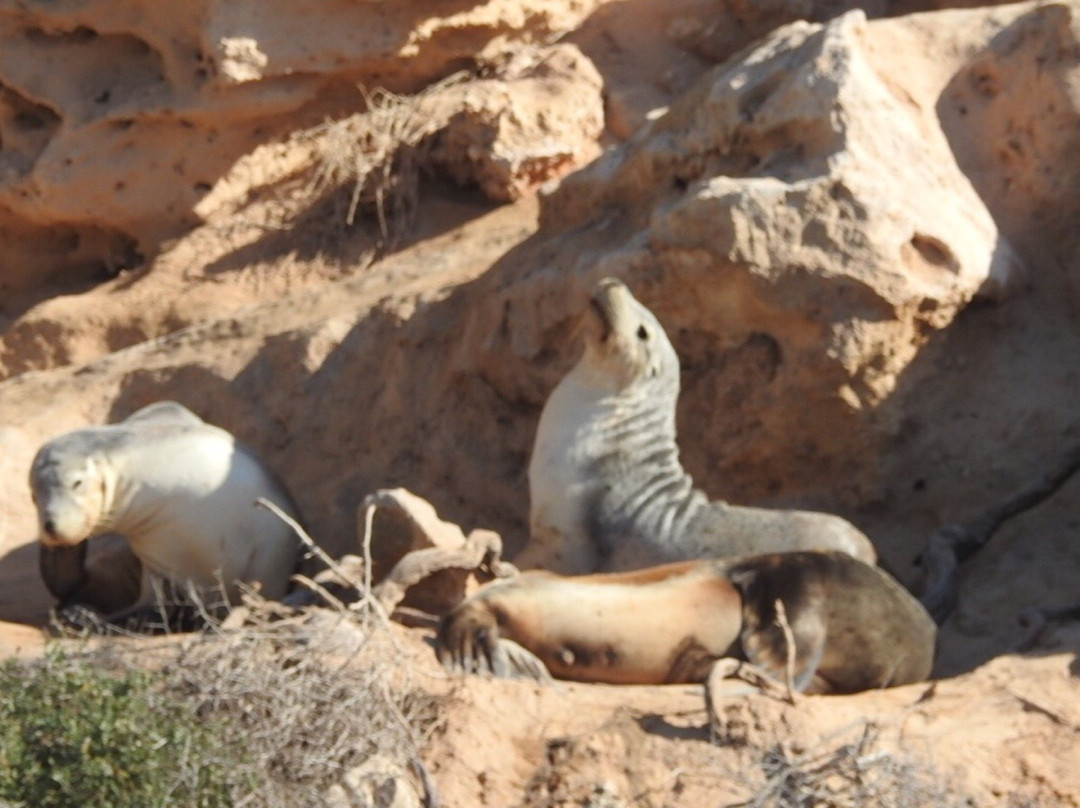 EP Cruises-Fowlers Bay必去景点